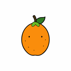 vector illustration of an orange