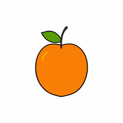 vector illustration of an apple