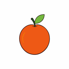 vector illustration of an orange
