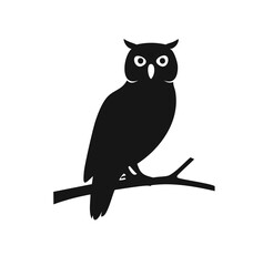 owl sitting on a branch