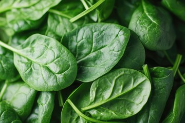 Obraz premium Fresh spinach leaves arranged on a clean surface with natural lighting and minimal styling. AI generated illustration.