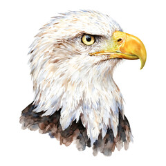 Majestic Eagle Head Portrait in Watercolor Style Isolated Hand Drawn Watercolor Illustration