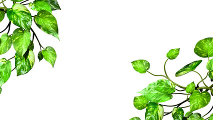 Greenery plant frame border realistic 3d render