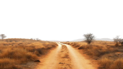 Winding dirt road leading through a dry grassy landscape with transparent background