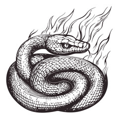 Obraz premium Detailed Engraving Illustration of a Fierce Snake with Flames