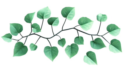 Isolated Green Leaf Branch Illustration On Transparent Background