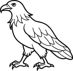 Fototapeta premium eagle bird silhouette vector design
