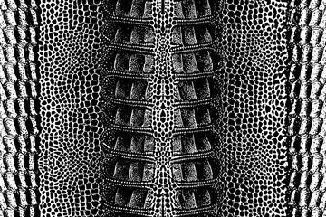 Black and White Crocodile Skin Pattern Vector