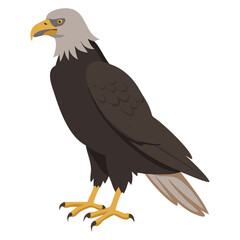 Obraz premium eagle bird silhouette image