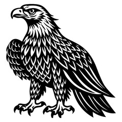 Fototapeta premium eagle bird silhouette image