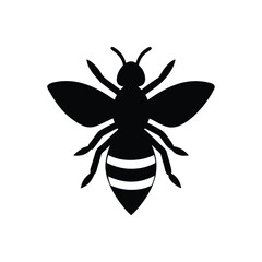 Silhouette of honey bee on white background. Vector illustration. 