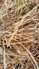 Macro shot of entangled hay strands in a vivid display of natural textures and tones typical of traditional rural landscapes