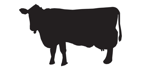 Cow graphic icon. Cow black silhouette isolated on white background. Vector illustration