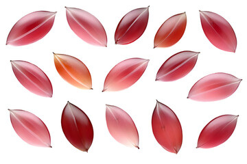 Isolated Red Leaves on Black Background A Transparent Photo