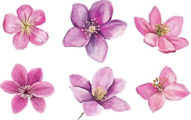 set of pink flowers