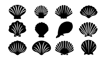 set of sea shell silhouette vector on tranparent background