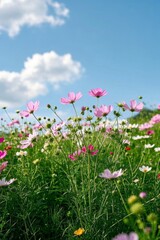 a close up of a field of flowers with a blue sky in the background