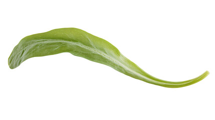 Fototapeta premium Close-up of Single Pistachio Nut on White Background