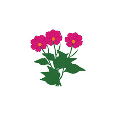 Flower illustration 