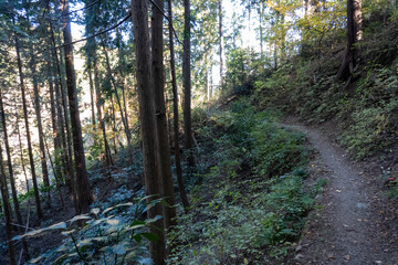 Minami Takao Seven Summits Trail 