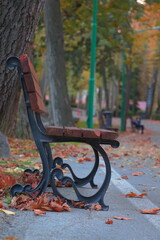 bench in the park
