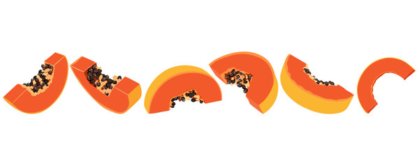 Set with slices papaya. Hand drawn papaya slices illustrated from different sides.