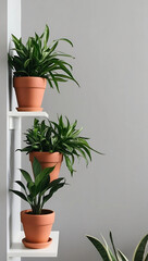 Minimal Indoor Plant Shelf with Natural Pots Against Light Gray Wall Background
