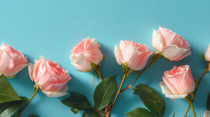 Obraz premium Beautiful pink roses on a light blue background romantic floral arrangement pretty delicate flowers soft 