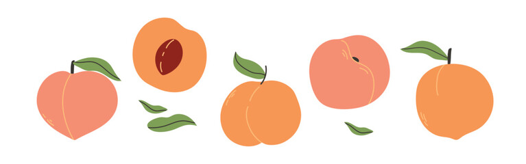 Set of abstract vector apricots. Simple apricot. Organic fruit for juice, smoothie or healthy food. Fruit collection design for interior, poster, banner. Vector