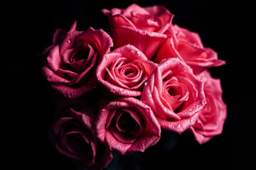 Obraz premium Close-up Bouquet of Vivid Pink Roses with Water Drops