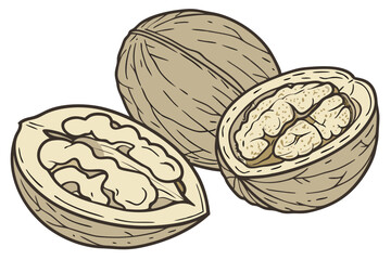 84 Realistic walnuts, macro photography, detailed textures, cracked open walnut shells, walnut kernels, beige and brown tones, isolated on white background, high contrast, studio lighting, food photog