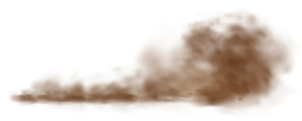 Sand cloud. Dust cloud, desert sandstorm, brown powder spray, smoke cloud with particles flying in wind, dirty ground spread. Vector texture on transparent background.