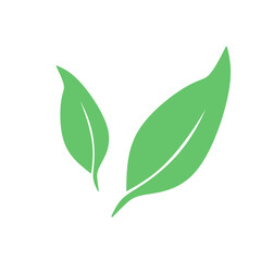 Flat style green leaf icon, Leaf icon set. Nature icon, leaf vector illustration