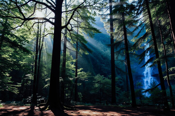 Fototapeta premium Sunlight Piercing Forest Waterfall Scene