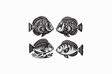 John Dory fish vector silhouette black and white image made by adobe illustrator. eps