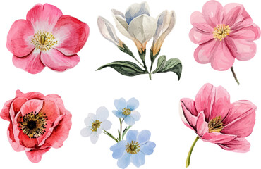 collection of flowers
