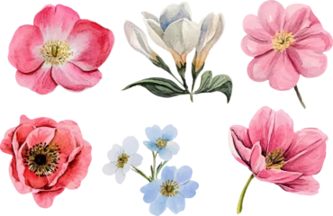 Fotobehang Tropische Bladeren collection of flowers  © asadul