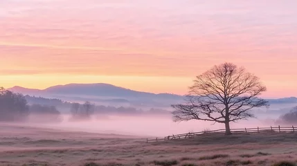 Fototapeten Pink And Purple Sunrise Over Foggy Field With Single Tree Silhouette © tuty