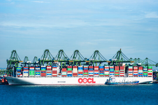 Singapore - large, fully loaded cargo container ship "OOCL VALENCIA" berthed under gantry cranes in the container terminal. Cargo operations in process.