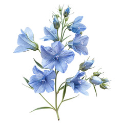 Fototapeta premium bouquet of flowers PNG isolated on transparent background