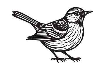 Bird Silhouette Vector Detailed Songbird Line Art Illustration