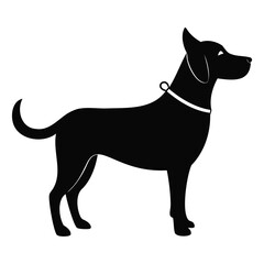 Silhouette of dog standing alert with leash on transparent background
