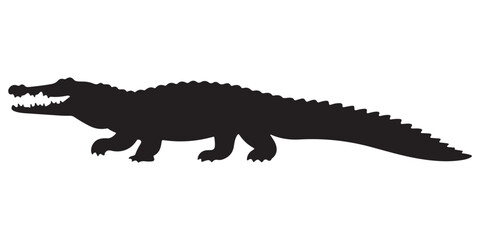 Crocodile and reptile collection on white and black backgrounds
