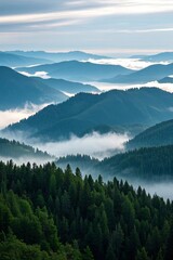 Obraz premium mountains covered in fog and low clouds in the distance