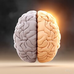 Fototapeta premium 3D Render of Divided Human Brain Hemispheres, Gray and Orange, Warm Light