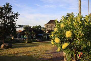 Lush green garden with a house in the background. The house is surrounded by trees and has a large stone wall. The garden is well-maintained and has a peaceful, serene atmosphere