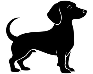 Silhouette of a playful dachshund in vector form standing proudly
