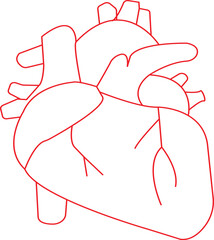 Line art of human heart drawing ,anatomical heart outline ,illustration of a heart .Vector illustration
