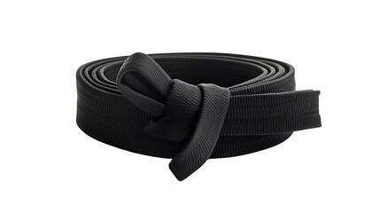 Professional Black Belt Isolated on White Background for Martial Arts Training