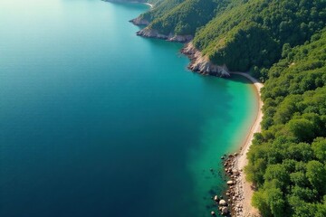 Abstract aerial view showcasing lake's irregular shoreline , view, altitude